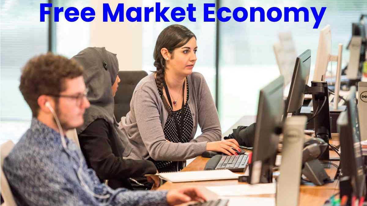 Free Market Economy and Planned Economy