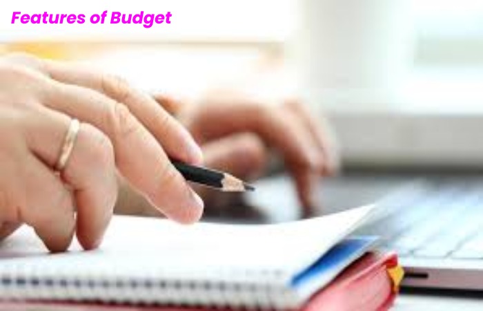 Features of Budget