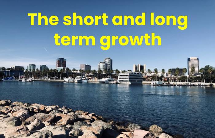 The short and long term growth Economic Growth