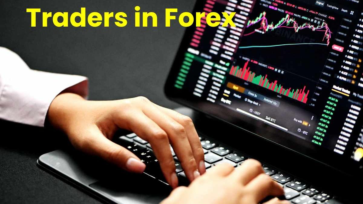 The Main Types of Traders in Forex – Overview Report