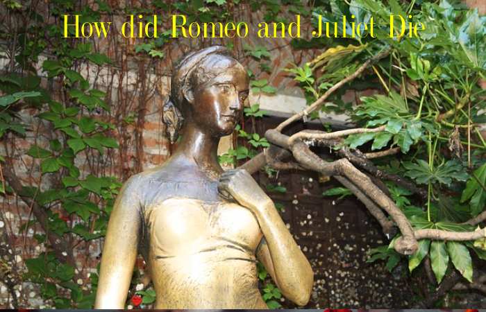 point of Romeo and Juliet's deaths