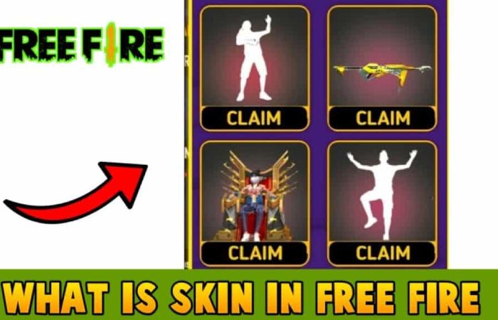 What is Skin in Free fire?